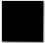 Glassboard NAGA zwart 100x100cm