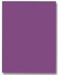 Glassboard NAGA paars 60x80cm