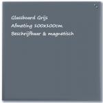 Glassboard NAGA grijs 100x100cm