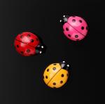 Lieveheers beestje magneet 3 stuks, supersterk
