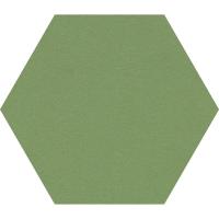 Smit Visual Chameleon Pinning-Shapes zeshoek 60cm Groen