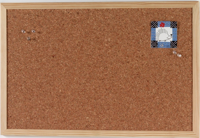 Haas Grijpen Europa Koop dit leuke Naga prikbord kurk 30x40cm makkelijk online bij